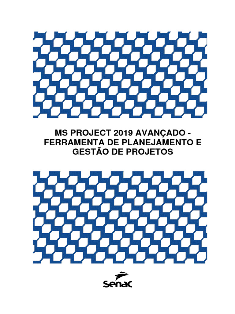 MS PROJECT 2019 MANUAL PDF visual data 4