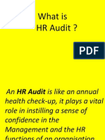 What Is HR Audit ?