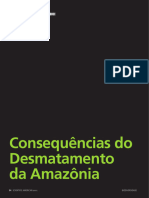 Consequencias Do Desmatamento Da Amazoni