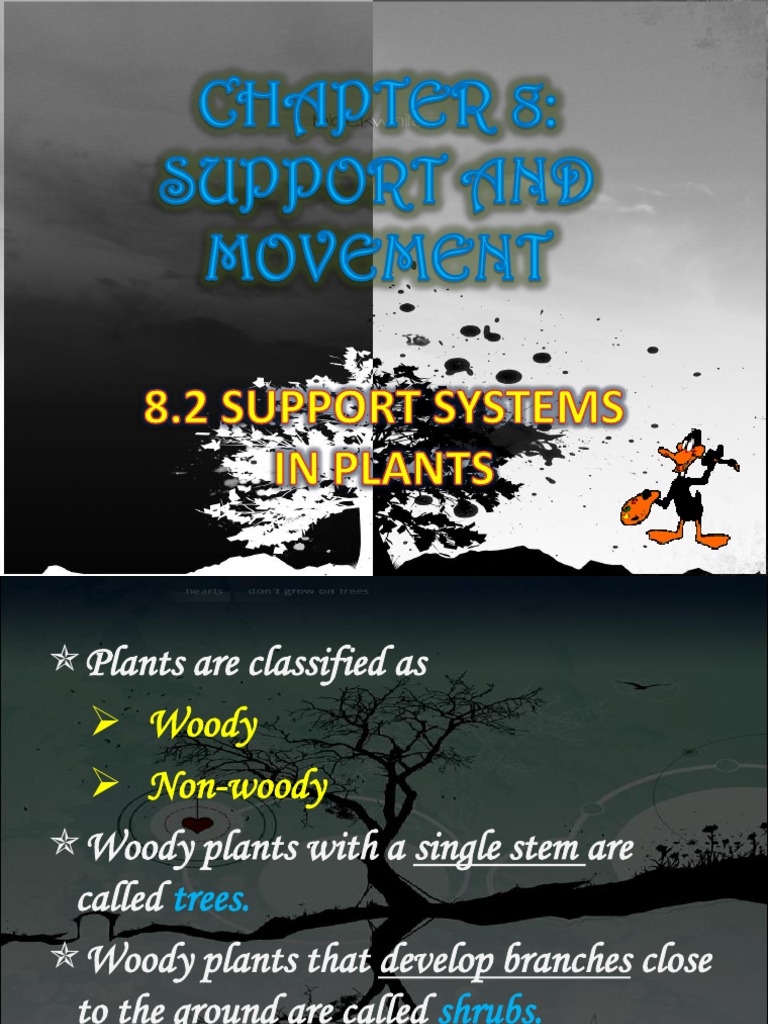 Plant Support Systems Guide | PDF