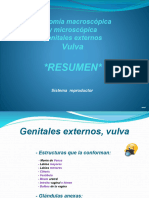 (1.5) AnatomÃ A Femenina Genitales Externos - Vulva