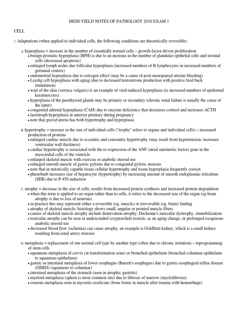 How Can I See All Devices Connected To My Network Mac