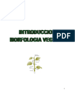 Morfologia Vegetal 1