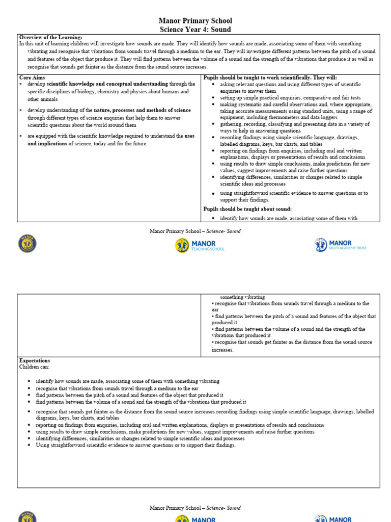 Year 4 Sound Pdf String Instruments Sound
