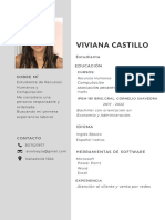 CV - Viviana Castillo