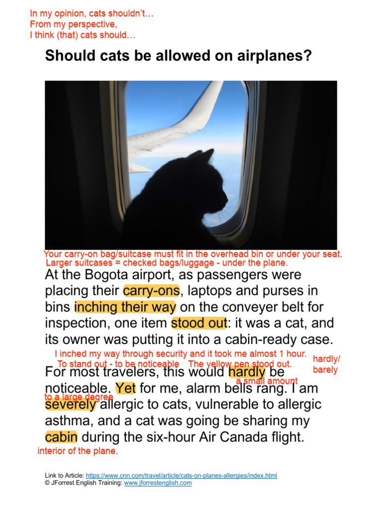Cats On Planes Article JForrest English PDF English Language Allergy