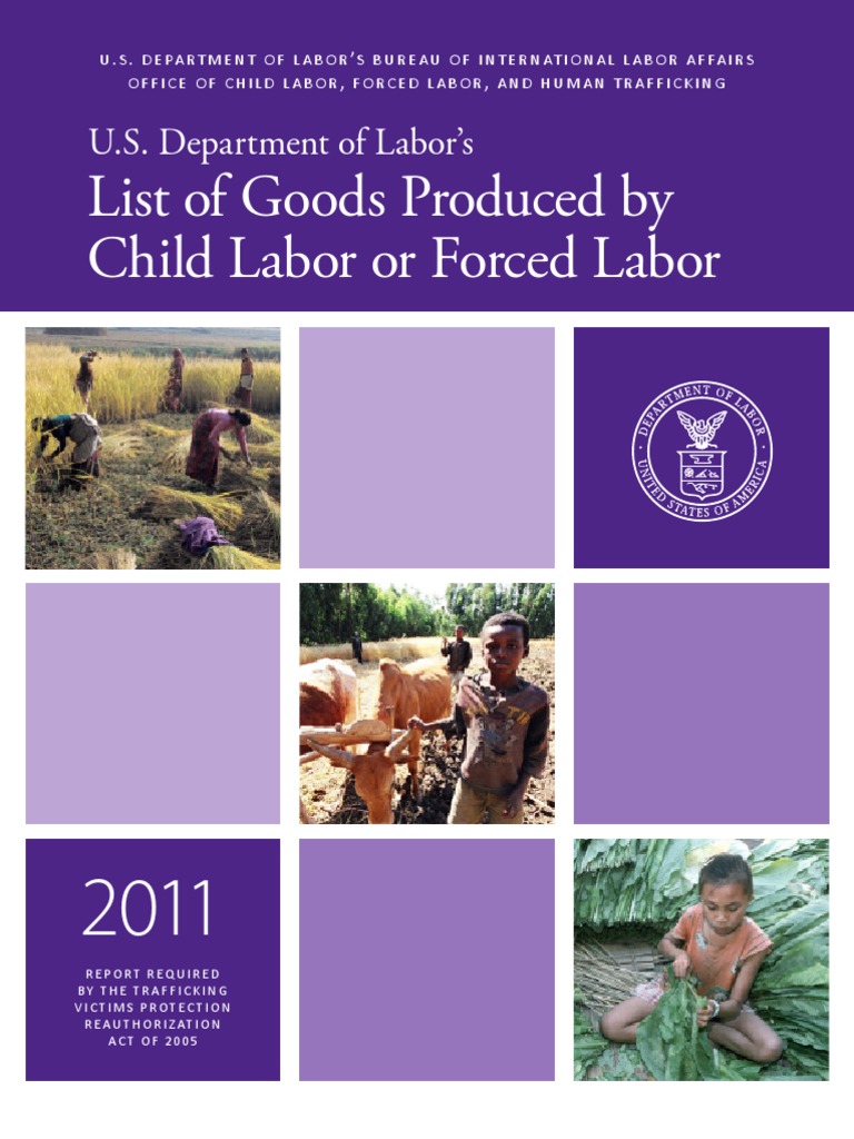 U.S. Department of Labor's 2011 List of Goods Produced by Child Labor ...