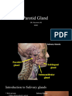 Parotid Gland