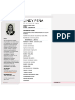 SINDY PEÑA Curriculo