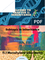 ALL Chapter 11 Inheritance