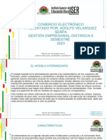 Exposicion Comercio Electronico