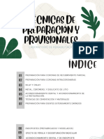 Tecnicas de Preparación Provisionales