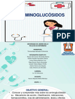 Aminoglucosidos .Grupo 6.