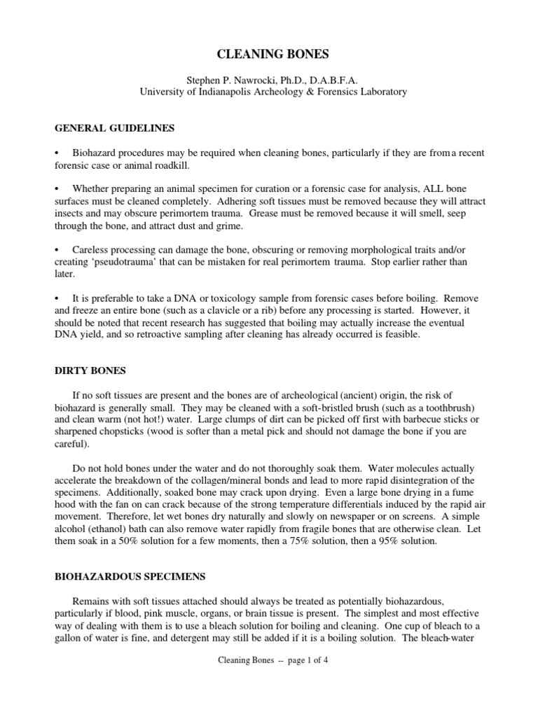 Cleaning Bones General Guidelines PDF Bleach Bone