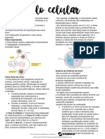 Ciclo Celular Resumo 9