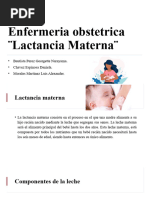 Lactancian Materna