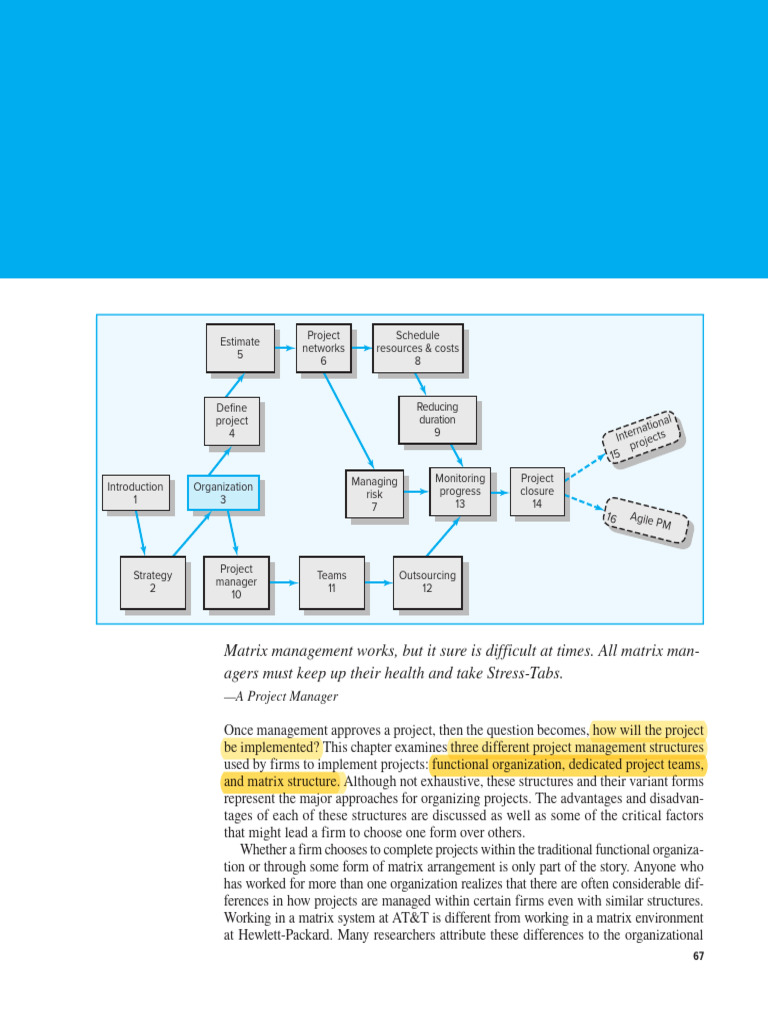 Project Management Structures Explained | PDF | Project Management | Sales