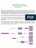 Biodiversidad Octavo Grado