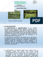 Clase 17 Agroforesteria