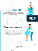 APN Maternity