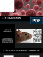 CADENA EPIDEMIOLOGICA Hantavirus DEFINITIVO