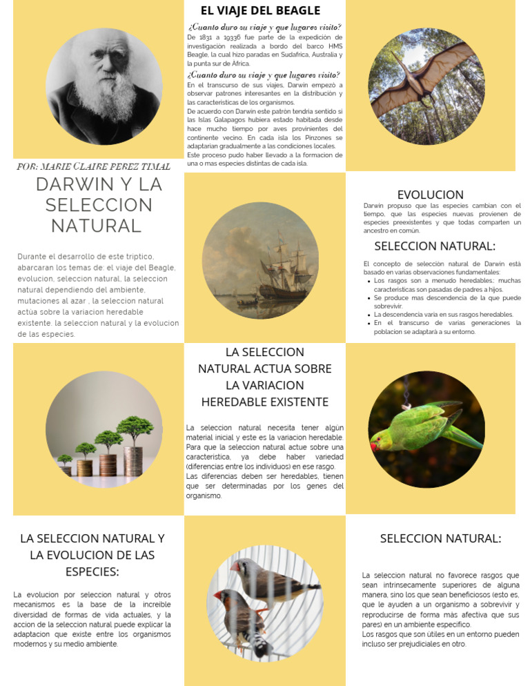 Darwin y La Seleccion Natural | PDF