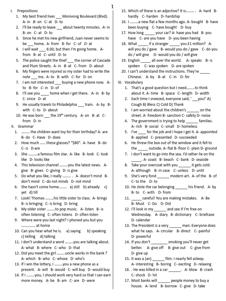 English Grammar Exercises for Beginners | PDF
