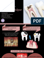 ¿Que Es La Necrosis Pulpar