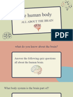 All About The Brain The Human Body Quiz