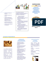 Triptico Estados Financieros