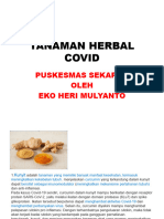 Tanaman Herbal Covid