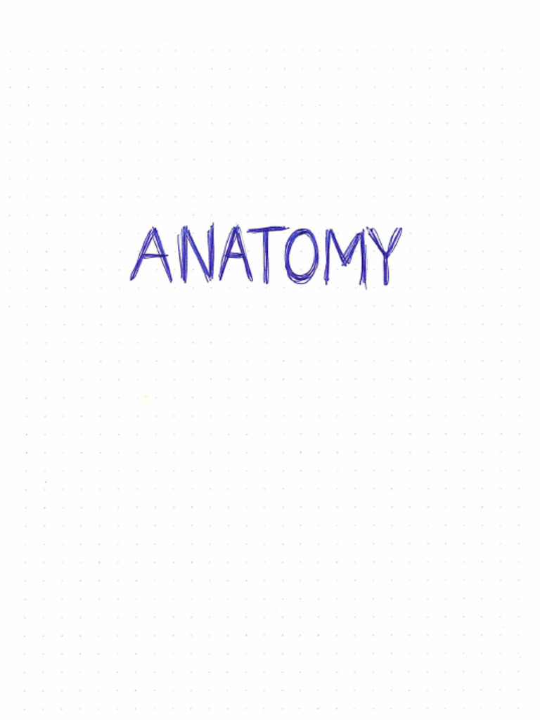 Anatomy Notes PDF