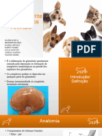 Glomerulonefrite em Pequenos Animais