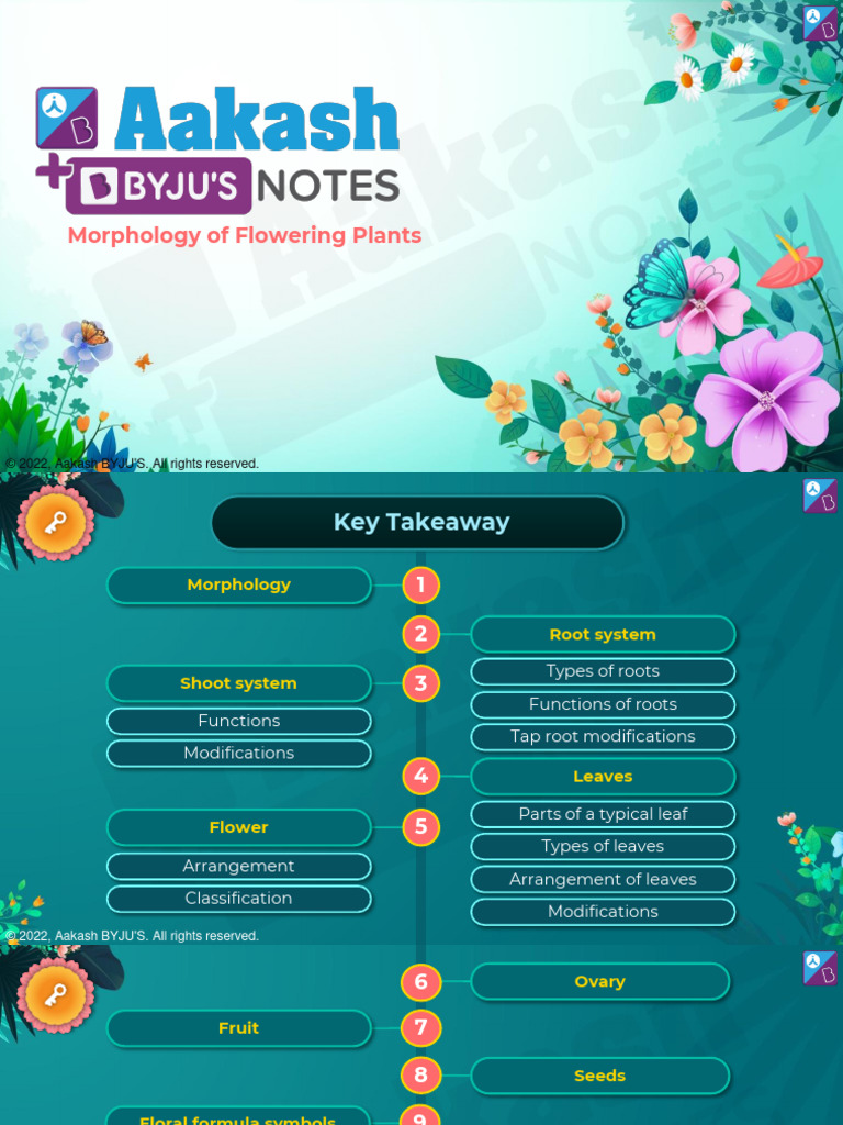 Morphology of flowering plants 1 download free pdf leaf petal
