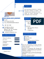 Curriculum Vitae Jr