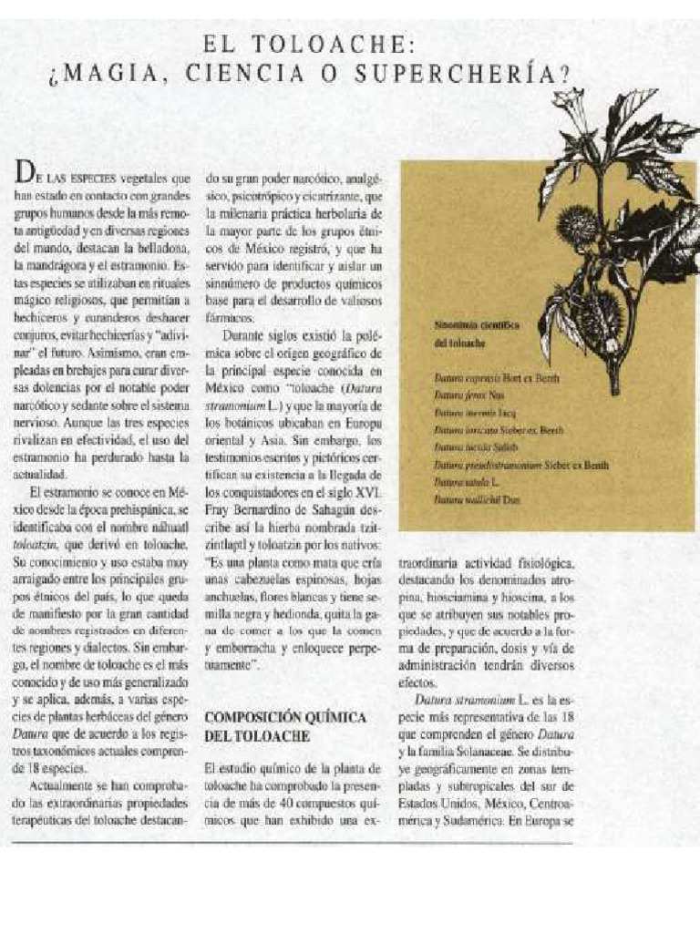 Toloache | PDF