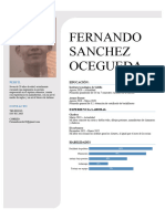 Fernando Sanchez Ocegueda: Perfil