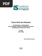 Teoria Geral Dos Sistemas