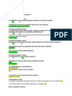 Examen Final de Anatomia