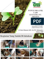 Young Plant Sprouting PowerPoint Templates Standard