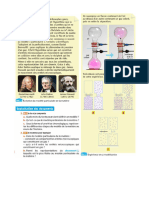 structure-de-la-matière-classe-inversée