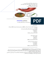 جرثومة المعدة H.pylori