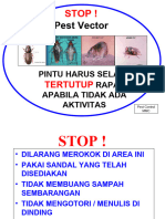 STOP ! Pest Vector