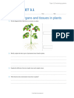 3.1 Worksheet Systems, Organs and Tissues in Plants