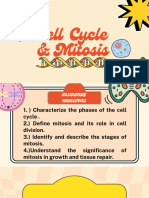 Cellcycle Mitosis