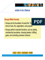 Chapter 3 - Social Structure - Section 4 - Groups Within Society