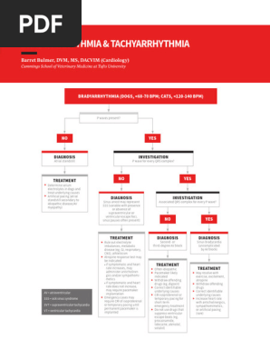 clinician’s brief vol.3 Cardiac Arrhythmias in Dogs and Cats | PDF