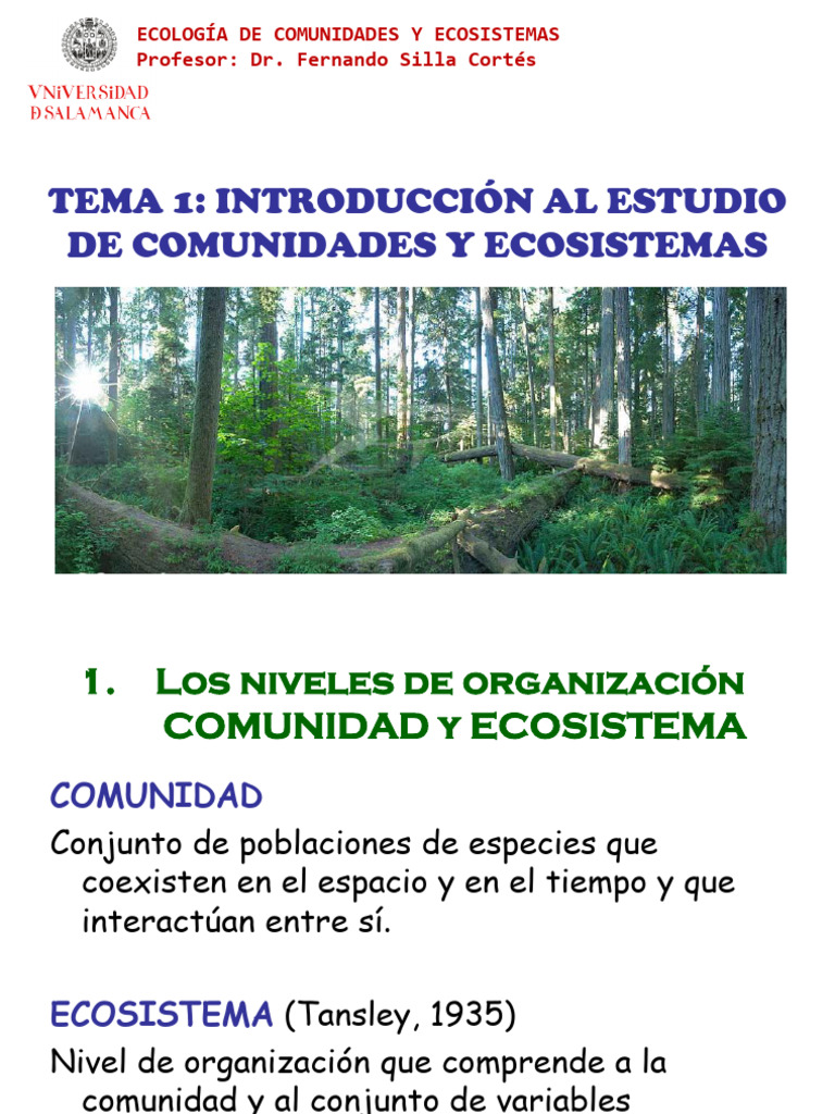 Eco Entero | PDF | Estudios de idiomas extranjeros | Ciencia y matemática