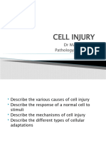 Cell Injury Inflammation
