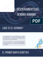 El Desciframiento Del Genoma Humano